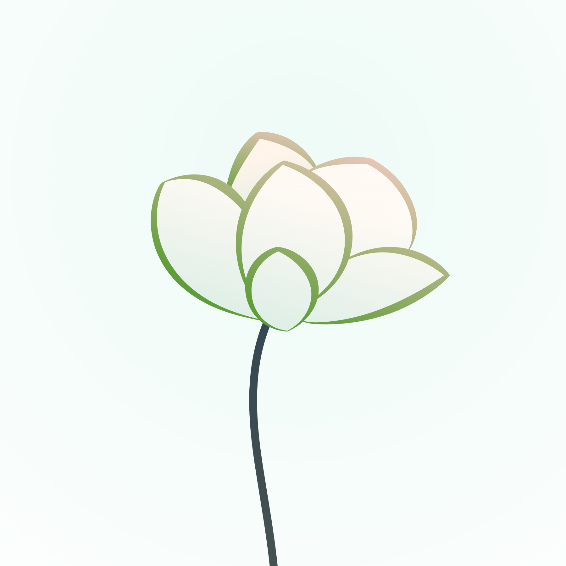 莲花头像